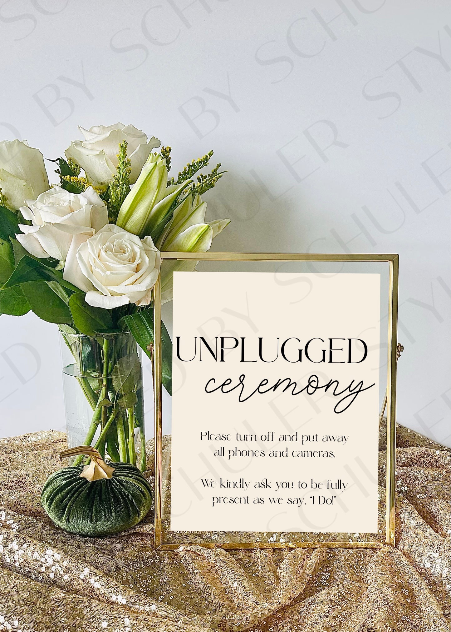 Unplugged Ceremony Sign | Modern