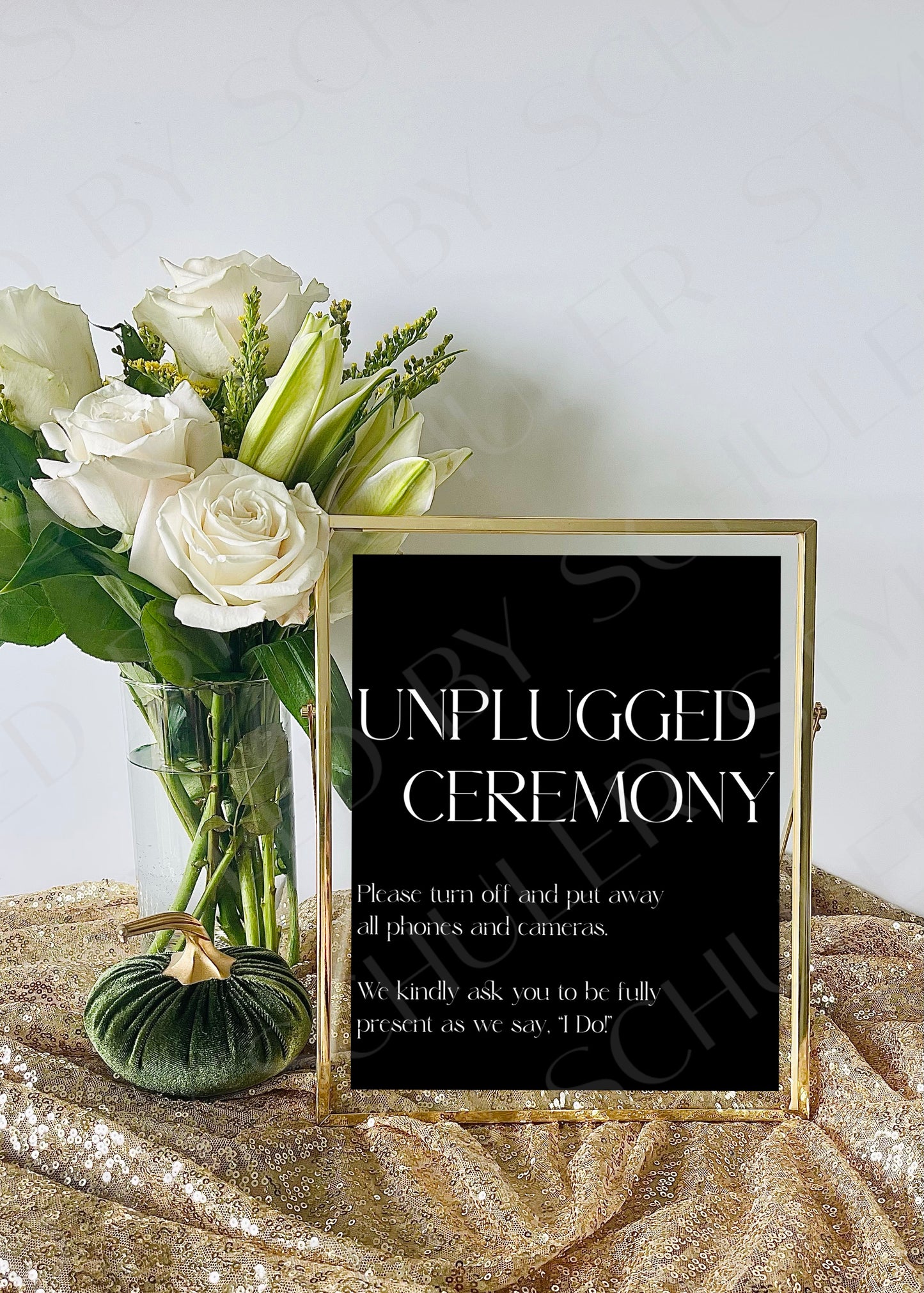 Unplugged Ceremony Sign | Modern