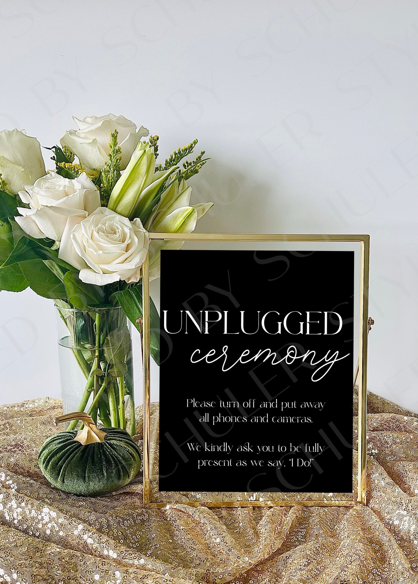 Unplugged Ceremony Sign | Modern